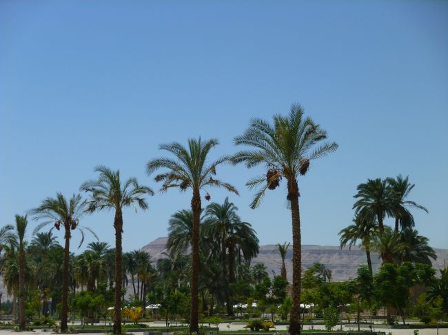 40℃オーバーの気温と<br />直射日光でもうカラカラ・・・<br /><br />売店で買ったコーラのおいしかったこと(笑)