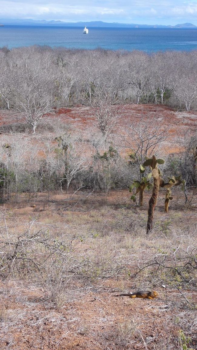 <br /><br /><br />陸イグアナと、遠くに見える船。