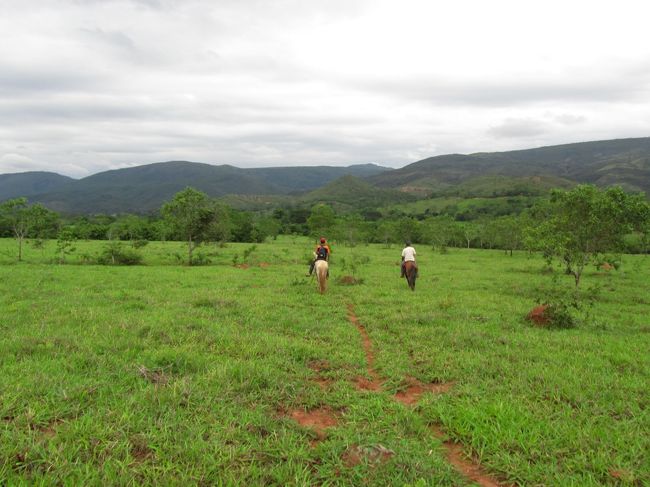 永遠一日かけて馬で牛をおっかけます