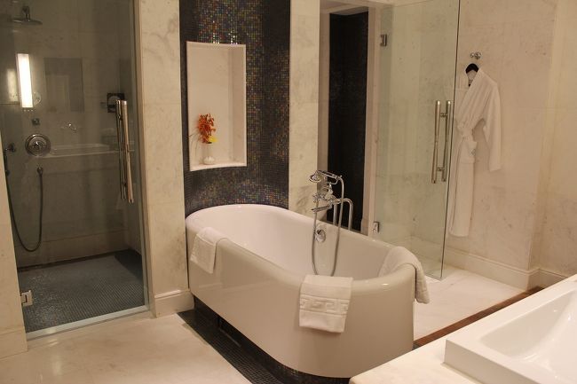 入らなかったけどバスタブとシャワールーム