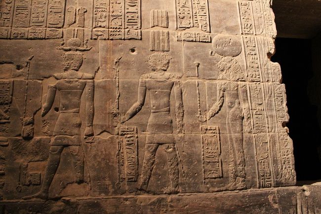 夜でもクッキリ