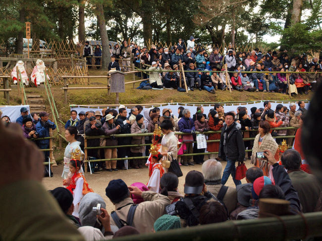 お父さんだけが晴れ着でない<br />