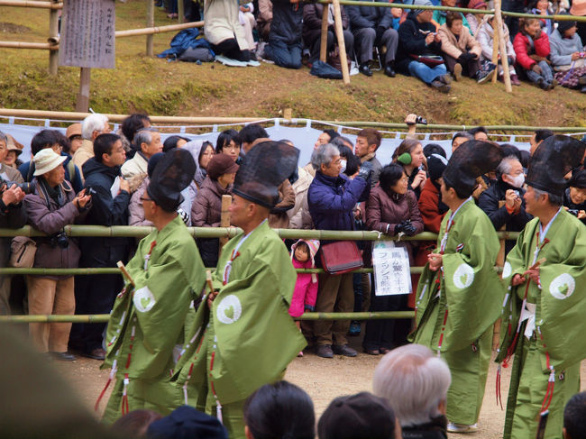 カメラは後ろを写してる。。<br /><br />　次に期待