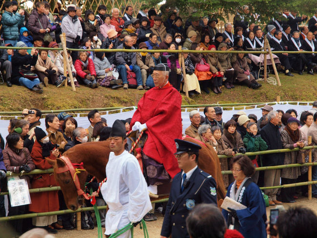 年配の方も　見事な手綱さばきで