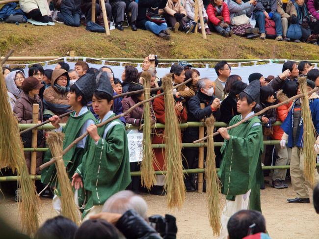 若い男性群<br />