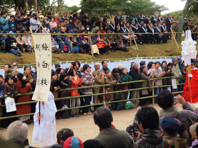 梅白枝　祝いの御幣　の　幟