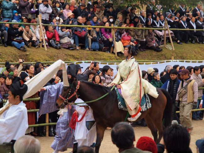 若い男性の騎馬