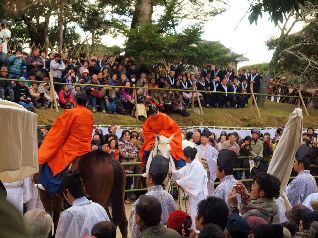 頭屋児のご挨拶ですが<br /><br />　馬さん　素直に横を向いてくれない