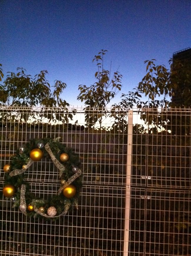 今日は快晴のようで、朝焼けがとてもきれい。