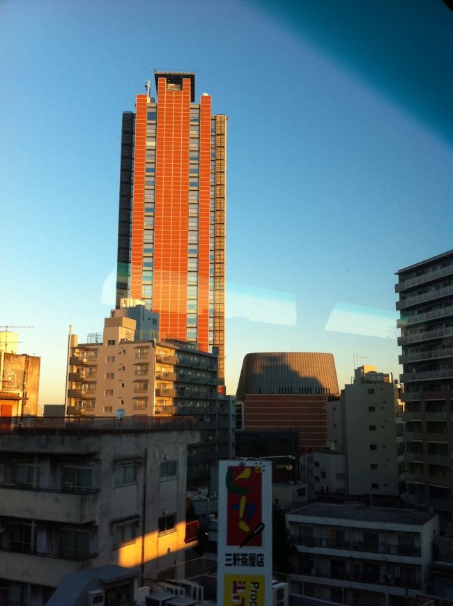 三軒茶屋を通り