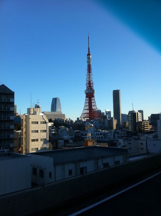東京タワーを眺め