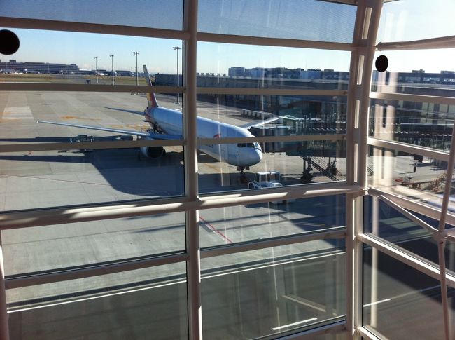 今日乗る飛行機です。