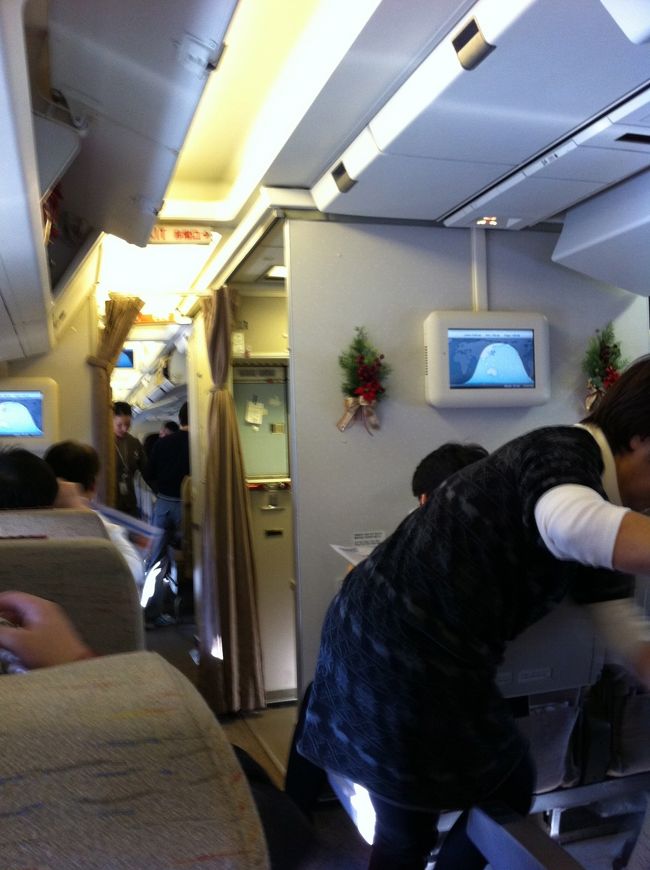 飛行機はクリスマス仕様。