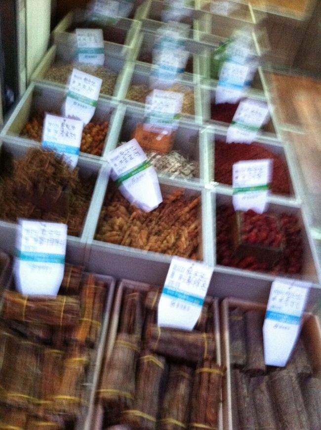 京東市場は漢方でも有名な市場ですが、結局何も買わず。次はもっと早くに下調べして行かねば。