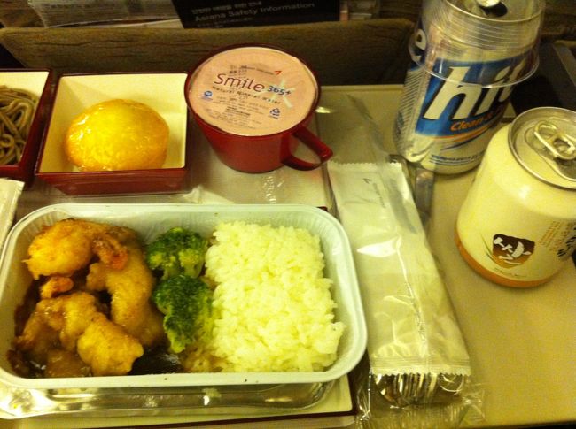 帰りの機内食。<br />そんなこんなでソウル忘年会、満喫してきました。<br />次回の忘年会も、いやその前にもぜひｗまた韓国に行くぞ!!<br /><br />**食べたお店場所等詳細やロッテモール金浦空港の詳細はこちら↓にまとめてみました。<br />食い倒れリスト最終日<br />http://blog.livedoor.jp/okanekotravel/archives/20119428.html<br /><br />ロッテモール金浦空港探訪メモまとめ<br />http://blog.livedoor.jp/okanekotravel/archives/20162863.html<br />よろしければこちらもご参照ください！よい旅を！