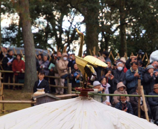 日の使い　風量傘の頂点の　鶴