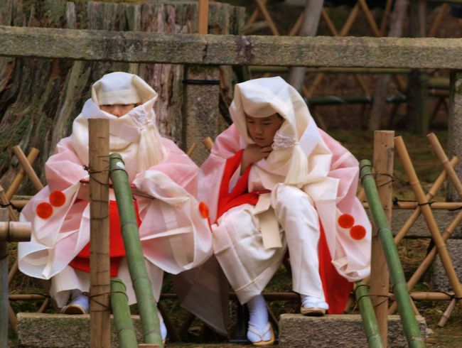 頭屋児　さむくて　飽きても来たようで、、<br /><br />　　　この姿