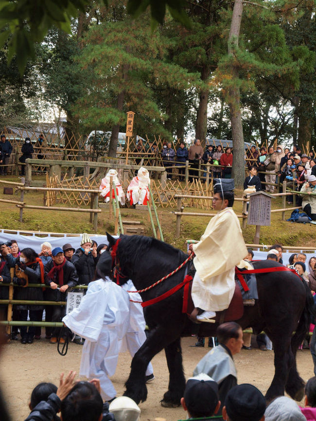 ゆうゆうと去って行きます。