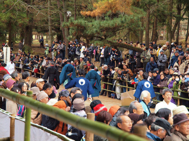 列は進みます。。