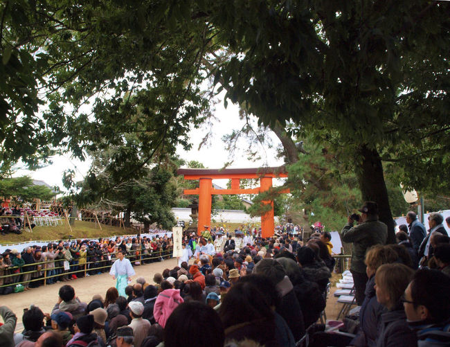 立ち上がり　鳥居付近を見渡す
