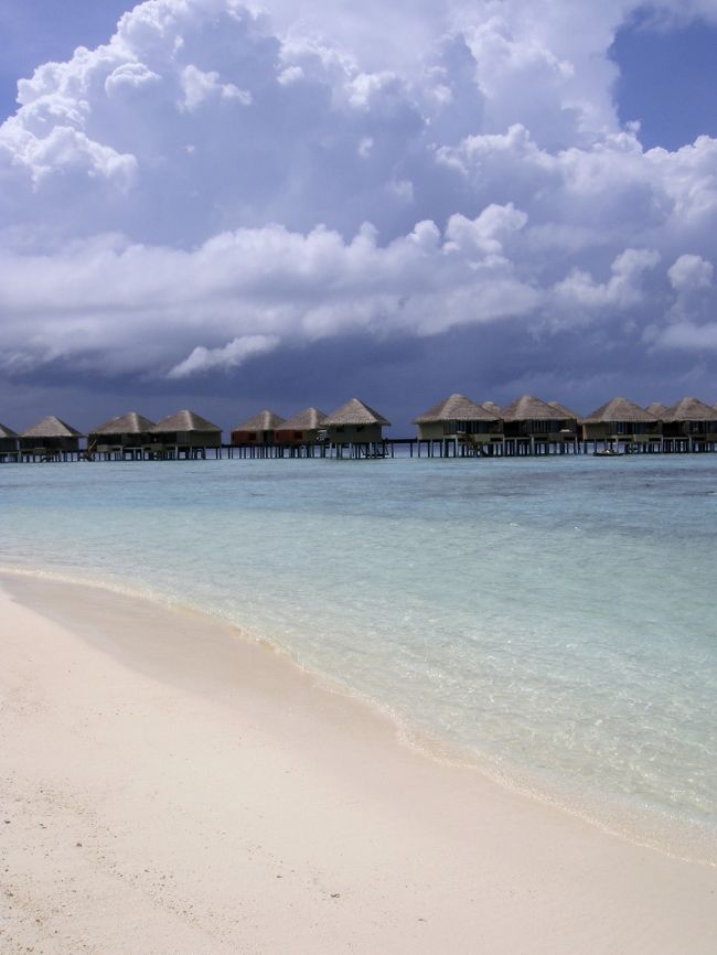 せっかくシュノーケルセットを借りたので、潜ってみましたが、かなりたくさんの種類のリーフフィッシュがいました！<br />遠浅の海、沖に行けばいくほど魚の種類が増え、大きくなっていく・・・<br />私は大きい魚が間近にいるのがちょっと苦手だったので浅瀬で小さな魚を見ていました(笑)<br />潜ってじーっとしていると、近くに寄ってくるお魚もいてカワイイです。