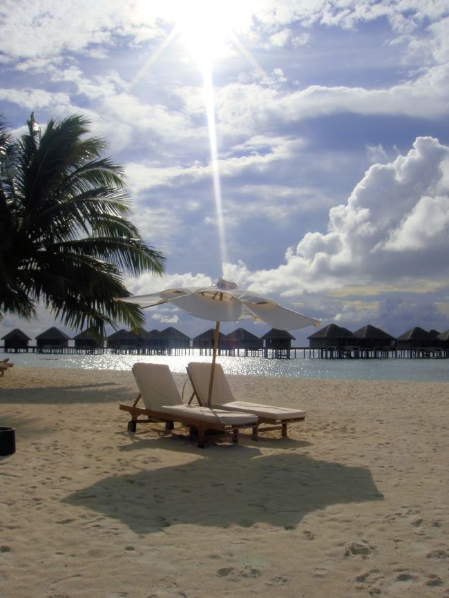 今日はとっても天気が良い。日差しが強い！