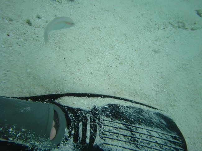 防水のポケットビデオを使って撮影。