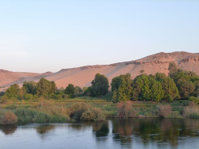 朝日が当たるとまた違った印象を見せてくれました。