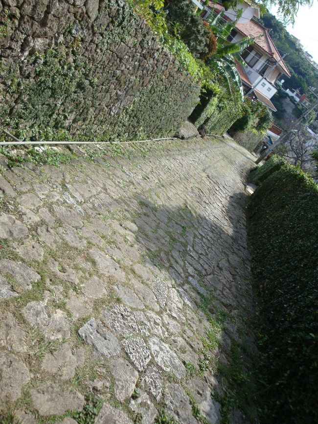 暑いし、なかなかの坂道で・・・きつい・・・