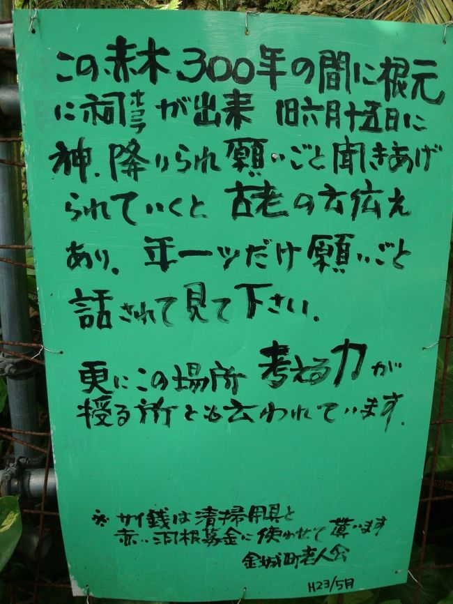 感覚的にはこの草ボウボウの道で合っているはず・・・だけどな・・・<br /><br /><br />アッ！<br /><br />パワースポットの首里の大アカギ発見<br />違ってなかったー<br /><br /><br />でも、識名園で見かけた外国人の方が居た。。<br />やっぱり、ちゃんとした道があったみたい・・・・<br /><br /><br />大アカギの木<br />大きな木で、たくさんの人がお参りに来ているのが分かります。<br /><br />木の根には、御嶽が祭られています<br /><br />１年に１回願い事を、神がお聞きあげくださるらしい