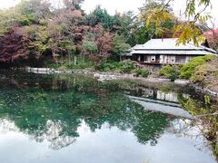 コチラが小浜池＆楽寿館です。
日本庭園と言う感じで素敵です。

