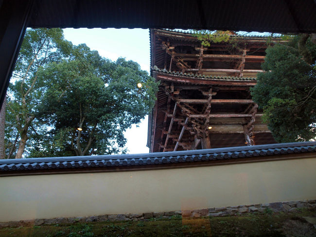 喫茶室で一服<br /><br />　南大門が見えます。