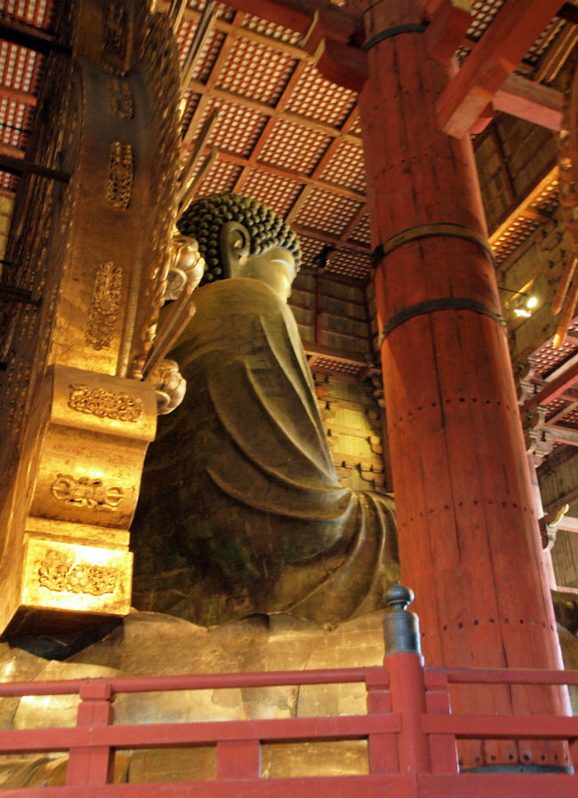 正面は失礼かと、<br /><br />　　横からパチリ