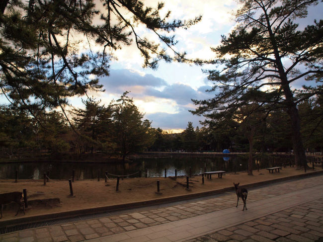 足はいつもの戒壇院方面へ