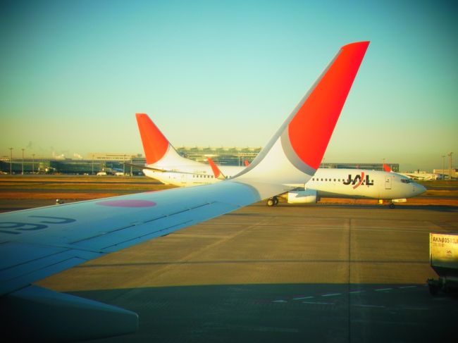 前日までの情報だと、雪の為に欠航、遅延、<br />出発空港への引き返しの恐れがあるとの事でしたが<br />その心配も杞憂に終わり、東京も函館も晴れ◎