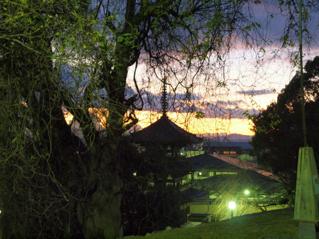 あの塔は？<br /><br />　南円堂裏手で<br /><br />　　名前は忘れしたが　三重塔　あったには覚えています。