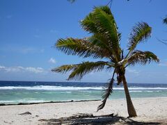 ランギロアではブルー・ラグーンへのピクニックとティプタ・パスへ散歩に行きました。
ティプタ・パスでは夕方時に公園まで歩いて行ったところ、ちょうどイルカの群れが環礁内に戻るところのようで、所々で飛び跳ねている姿が見えました。
(写真はティプタ・パスへ歩いていくときの外洋側の景色です。本当はイルカの写真を載せたかったのですが、あまりの早さにカメラが付いていけませんでした…)