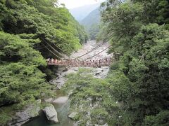 祖谷のかずら橋