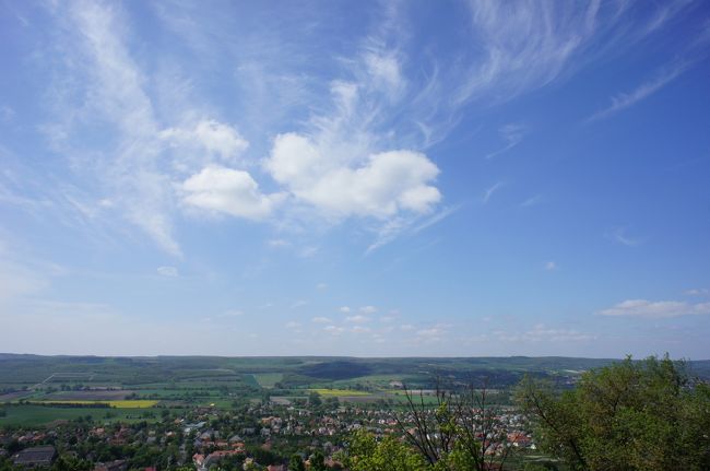 丘の周辺は6月下旬から7月上旬にかけてラヴェンダーが一斉に花開くそうです。