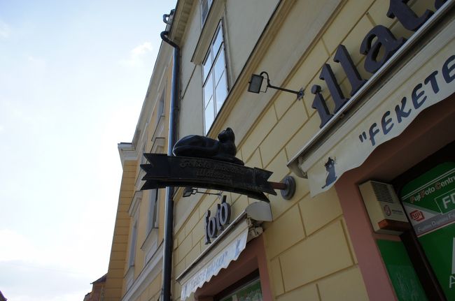 写真屋さんの看板は何故か猫ちゃん。