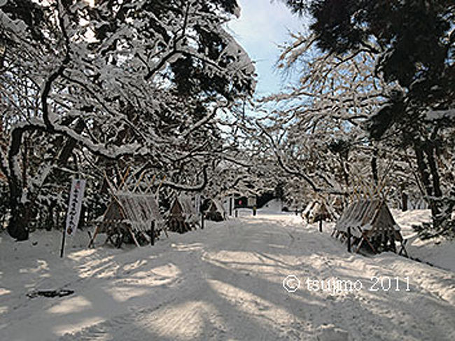 追手門から辰巳櫓までの雪の道です。