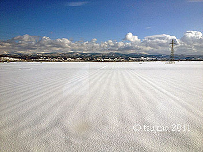 遠くまで一面雪景色です。