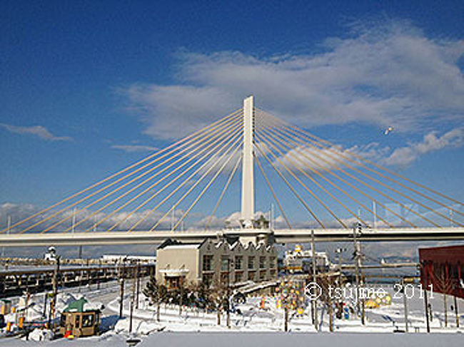 青森市内に帰って来ました。