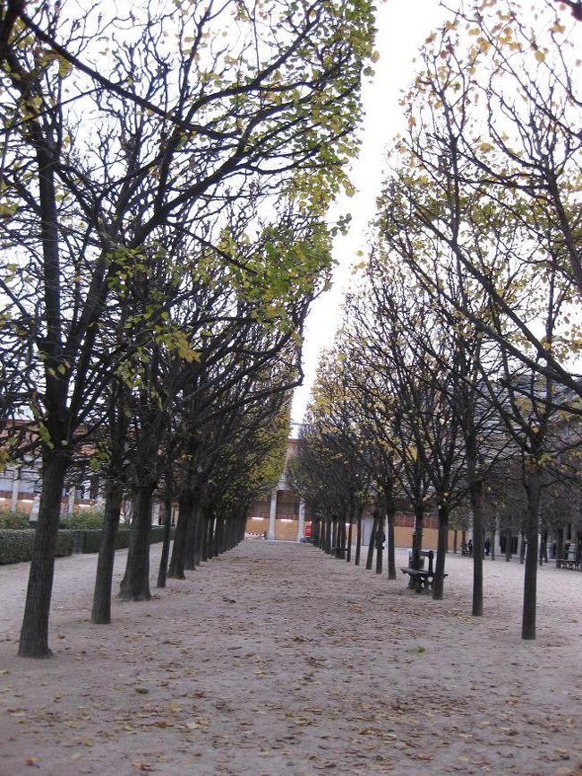 他にも散歩したり、ベンチに座って談笑する方がちらほら。<br />身近にこういう場所がある生活っていいですね。