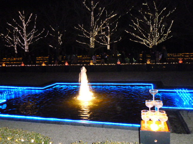 手前はミニシャンパングラスツリーです。<br />奥はミニ噴水。このこじんまりした光景もささやかな美しさ。