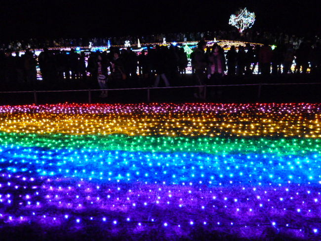 七色のイルミネーション、やっぱり雰囲気でますね。
