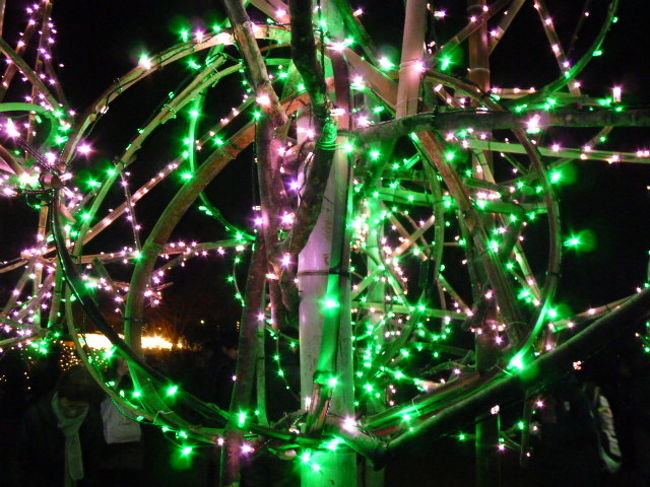 拡大です。色合いが素敵ですね。