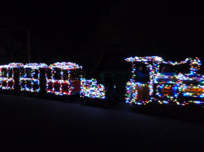 おっと、園内をうごめく物体が・・・<br /><br />イルミネーション電車でした。見えづらいけど、大人・子供がたくさん乗ってます！