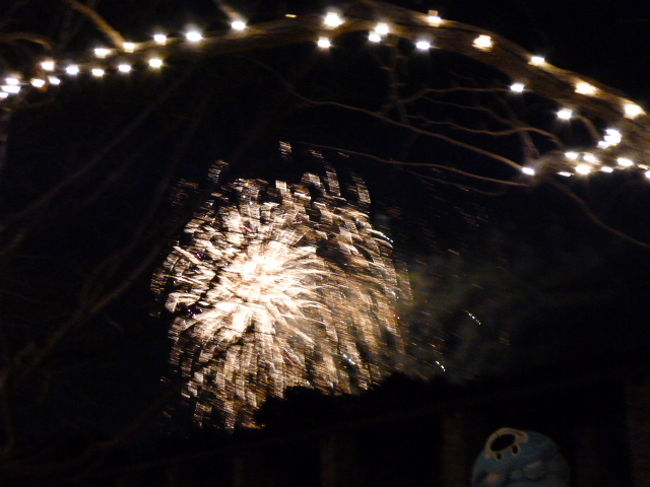 まあ隅田川花火大会と比較してはいけないですが、なかなか見事な花火でした。よかったです。<br />じんじん冷えてきたので花火を見たところで帰途につきます。<br />敷地の広さが魅力の昭和記念公園、なかなかよかったです。