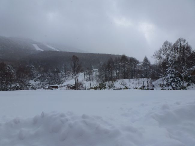 ２０日です。<br />先回より雪が積もってます。<br /><br />まだ、オープン前ですが、早くもスキー客が数名。